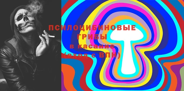 PSILOCYBIN Армянск